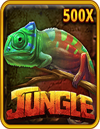 วิธีเล่นเกม joker www ง่ายๆ สำหรับมือใหม่